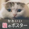 かわいい猫のポスター