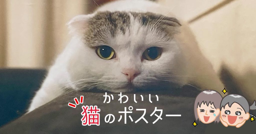 かわいい猫のポスター