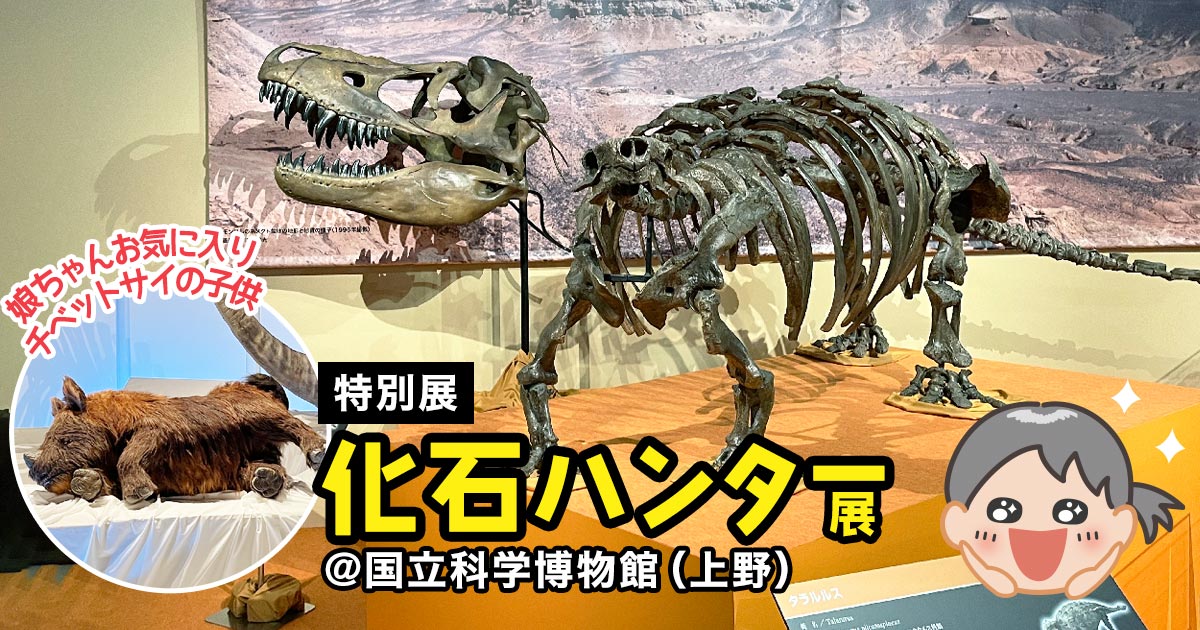 恐竜展、化石ハンター　子供